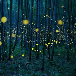 姐姐穿白丝被插逼
