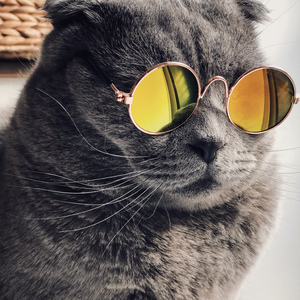 姐姐穿白丝被插逼
